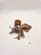 Salted Squid